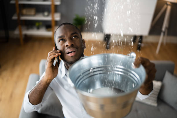Best Ceiling water damage repair  in Washington Mills, NY