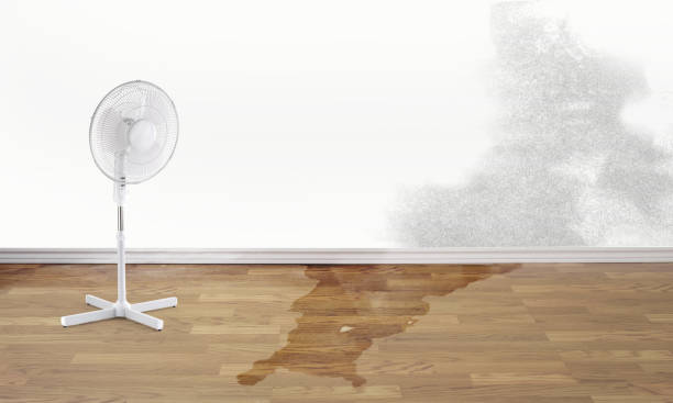 Best Flood restoration services  in Washington Mills, NY