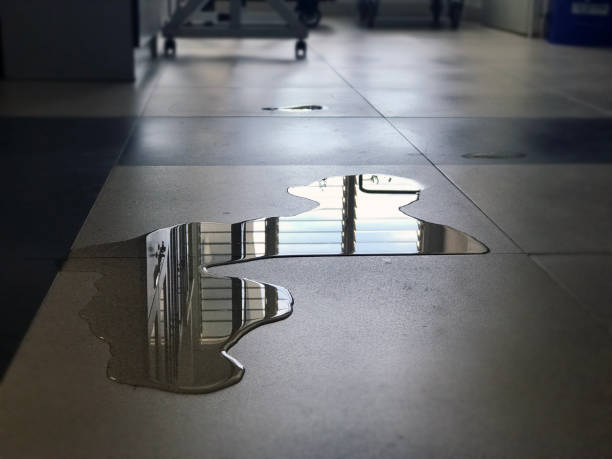 Best Professional water damage repair  in Washington Mills, NY