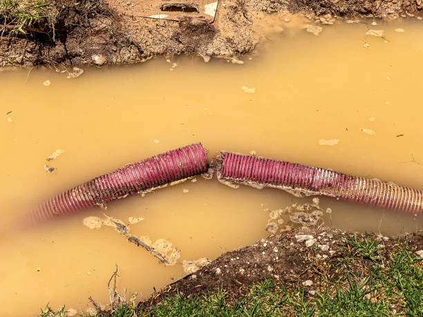 Best Water damage cleanup near me  in Washington Mills, NY