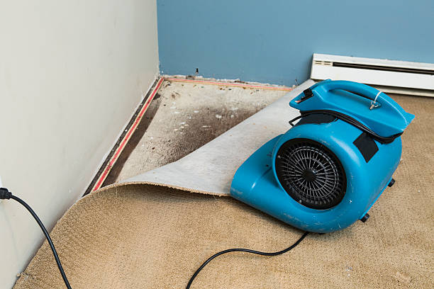  Washington Mills, NY Water damage restoration Pros